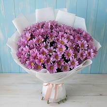 Букет цветов из:  Хризантемы #REPLACE_PRED# Амурске