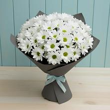 Букет белые хризантемы в Амурске Букет цветов из:  Хризантемы в Амурске